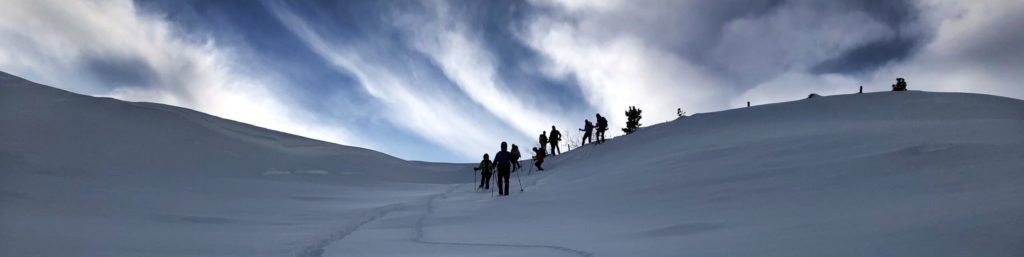IMG_0512