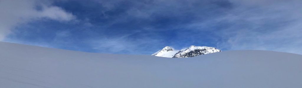 IMG_0694