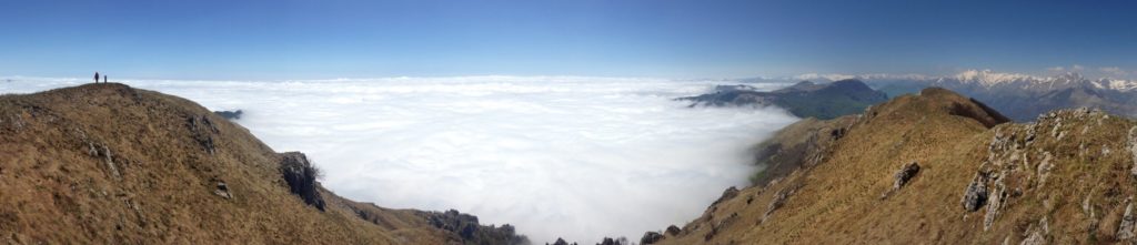 IMG_3979