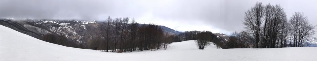 IMG_7700